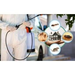 خدمات مكافحة الحشرات من شركة اللمسة الفريدة للتنظيف خدمات مكافحة الحشرات من شركة اللمسة الفريدة للتنظيف